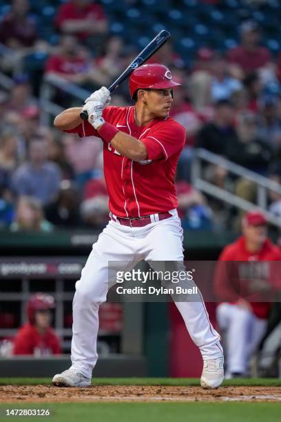 Luke Maile of the Cincinnati Reds bats in the first inning against the Arizona Diamondbacks during a spring training game at Goodyear Ballpark on...