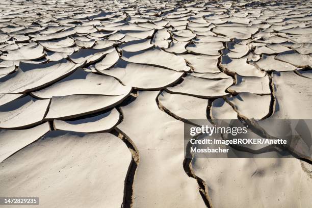 parched ground, dry riverbed, cracked clay mud in dried up river bed, swakop river, namibia - mud riverbed stock pictures, royalty-free photos & images