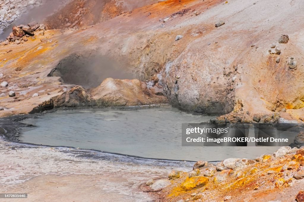 Mud pot with fumarole in the Bumpass Hell solfatar field, Lassen Volcanic National Park, California, USA