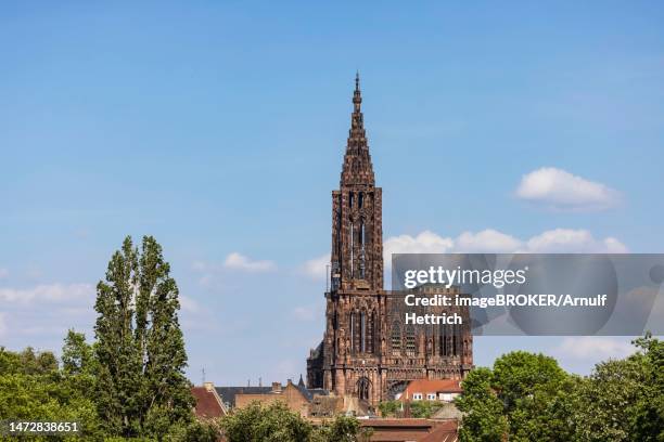 strasbourg cathedral, strasbourg, bas-rhin, france - strassburger münster stock-fotos und bilder