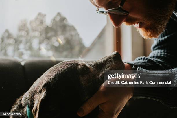 a man leans in towards an old black dog, gently supporting her chin on his hand and stroking her head - hairy back man stock pictures, royalty-free photos & images