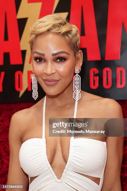 Meagan Good attends the Black Excellence Brunch honoring Meagan Good, hosted by Trell Thomas and Warner Bros., at The Gathering Spot LA on March 11,...