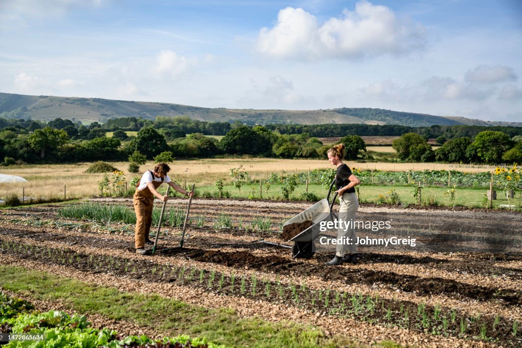 Market gardeners preparing soil for planting