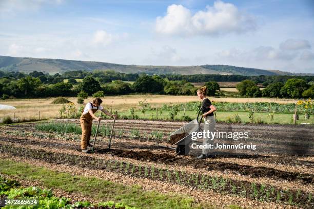 market gardeners preparing soil for planting - lawn aeration stock pictures, royalty-free photos & images