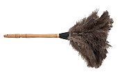 Feather duster isolated