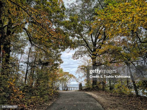 autumn trees and landscapes - baltimore maryland landscape stock pictures, royalty-free photos & images