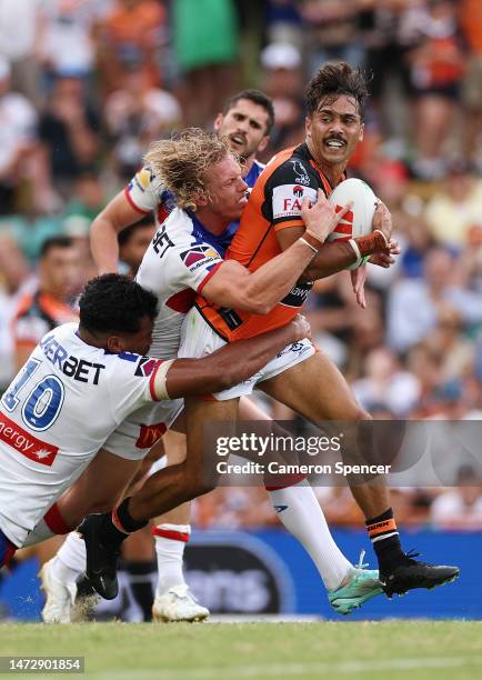 Daine Laurie of the Wests Tigers is tackled during the round two NRL match between Wests Tigers and Newcastle Knights at Leichhardt Oval on March 12,...