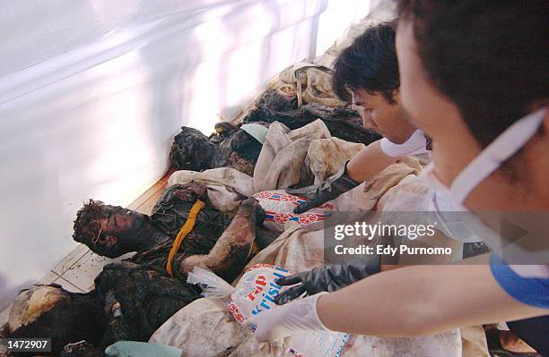 Hospital officials try to identify the bodies of bomb blast victims October 13, 2002 in Denpasar Bali, Indonesia. The blast occurred the night of...