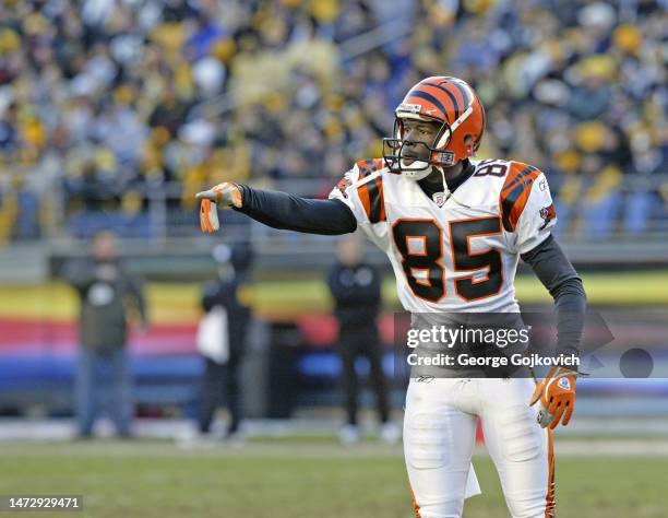 Wide receiver Chad Johnson of the Cincinnati Bengals signals during a game against the Pittsburgh Steelers at Heinz Field on November 30, 2003 in...