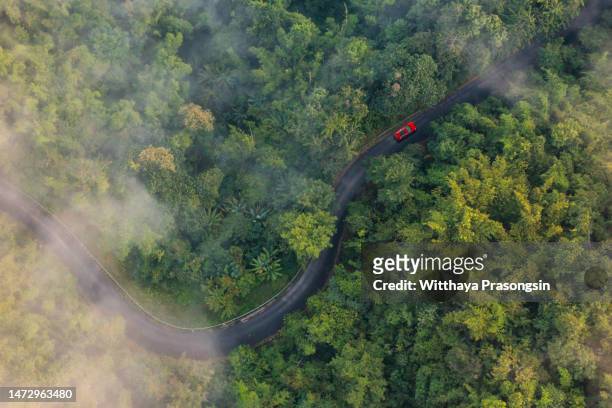 aerial view of a road with a curve at a forest - hesse imagens e fotografias de stock