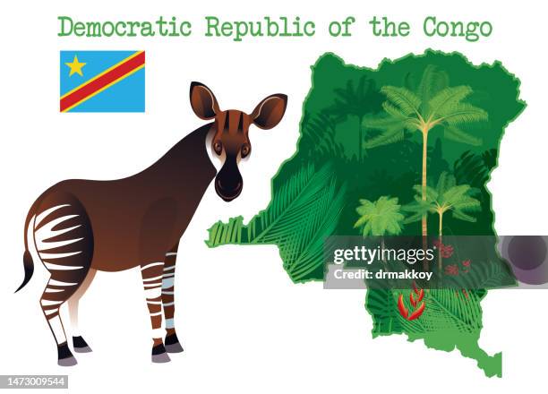 democratic republic of the congo and okapi - african savanna map stock illustrations