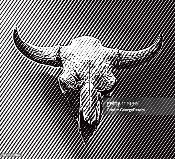 american bison skull and horns - bison head logo stock illustrations