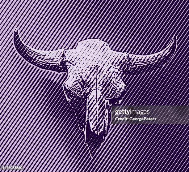 illustrations, cliparts, dessins animés et icônes de bison d’amérique crâne et cornes - western logo