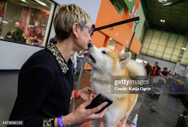 Japanes Akita Inu licks a woman's face on day four of CRUFTS Dog Show at NEC Arena on March 12, 2023 in Birmingham, England. Billed as the greatest...