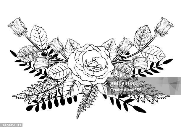 botanical style roses and leaves on a transparent background - white rose flower stock illustrations