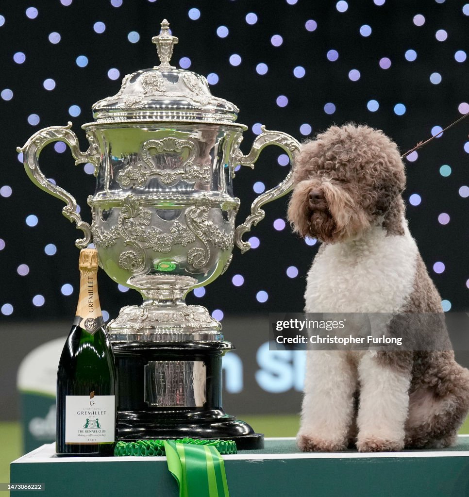 Crufts 2023 Crufts Tickets 2020 Tickets For Crufts 2020 Crufts