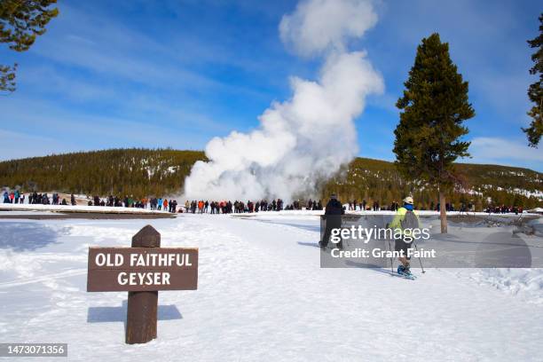 people viewing geyser - río-yellowstone fotografías e imágenes de stock