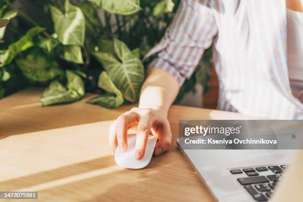 woman using pc mouse while working on computer at table, closeup - close up computer mouse imagens e fotografias de stock