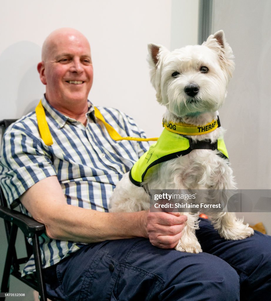 Cruffys A West Highland Terrier attends the Crufts Dog Show 2023 at NEC Arena ...