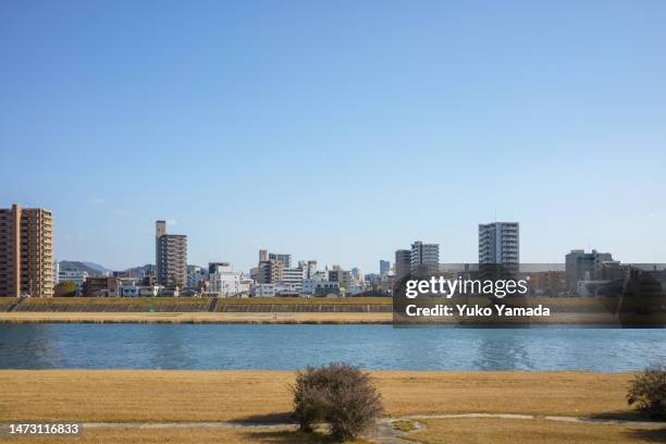 riverside view in daylight - riverbank stock pictures, royalty-free photos & images