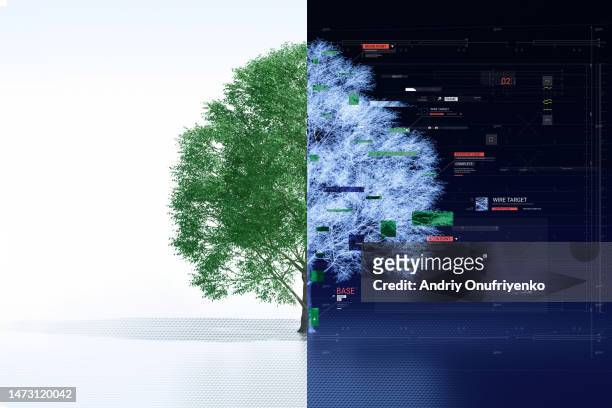real vs digital tree. - art and science stock-fotos und bilder