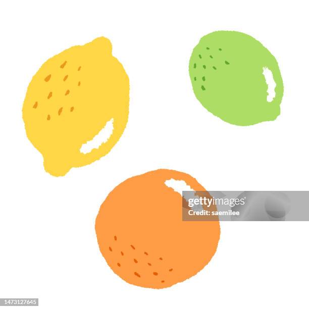 citrus fruits drawing - fruit white background stock illustrations