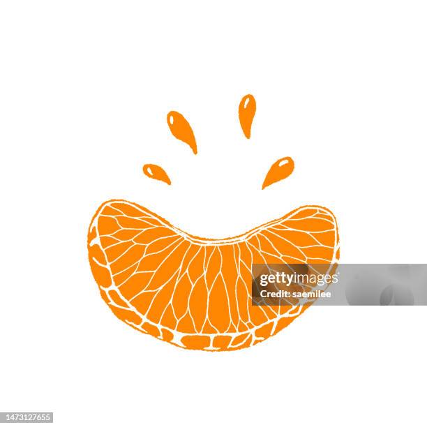juicy citrus fruit - tangerine stock illustrations