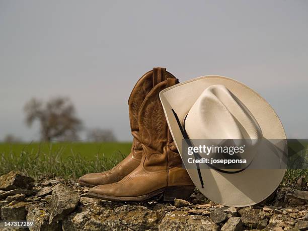 cowboy boots&hat and tree - cowboy boots stock pictures, royalty-free photos & images