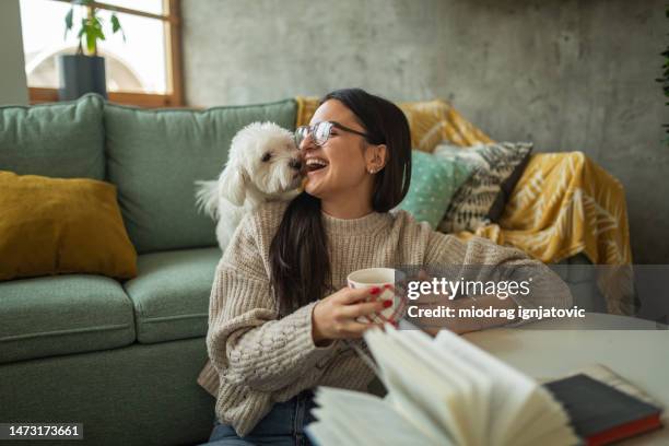 giovane donna che beve il tè mentre gioca con il suo cane a casa - accogliente foto e immagini stock