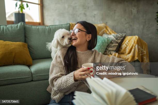 young woman drinking tea while playing with her dog at home - adult woman cup tea stockfoto's en -beelden