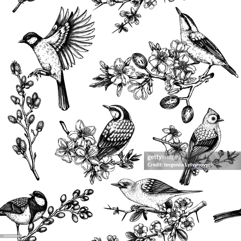 Spring garden background.