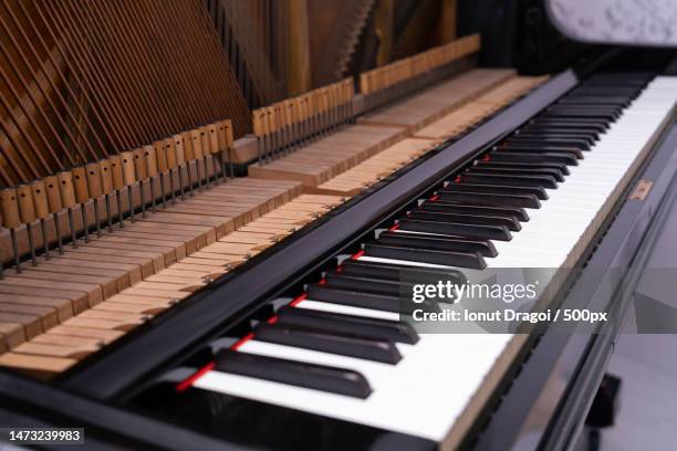 close-up of piano keys,romania - ébène photos et images de collection