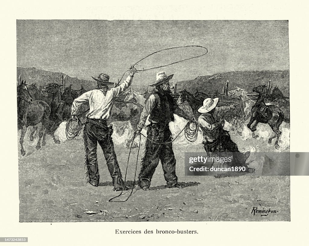 Bronco Busters, Cowboys lassoing wild horses, American Wild West, 1890s, 19th Century