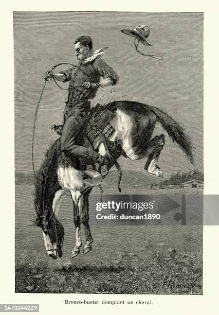 cowboy riding bucking horse, bronco buster taming a wild horse, american wild west, 1890s, 19th century - taming horse stock illustrations