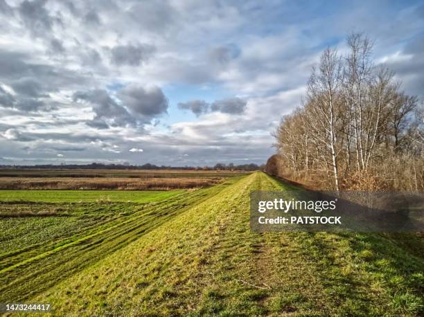 footpath on the top of the flood embankment next to river. - embankment stock-fotos und bilder