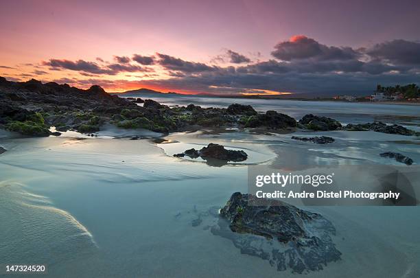 scenic view of galapagos - galapagos stockfoto's en -beelden