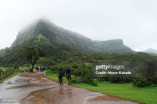 monsoon - pune stock pictures, royalty-free photos & images