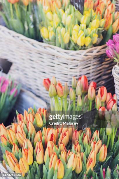 different colored tulips displayed at a market stall. - flower stall stock-fotos und bilder