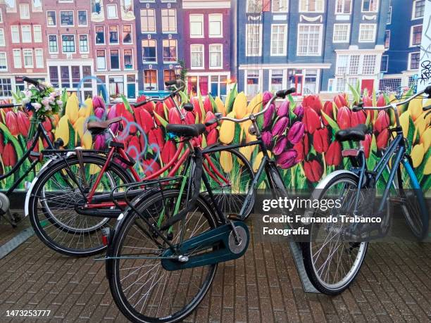 bicycles on a street in amsterdam - amsterdam spring stock pictures, royalty-free photos & images