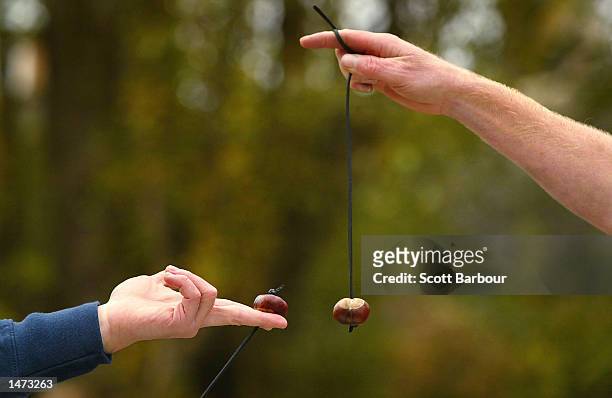 Competitor lines up a shot at his opponent's conker at the 38th Annual World Conkers Chamionship October 13, 2002 in Ashton, United Kingdom. The game...