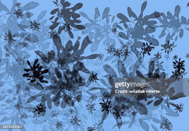 watercolor leaves and branches - exotic flower bouquets stock pictures, royalty-free photos & images