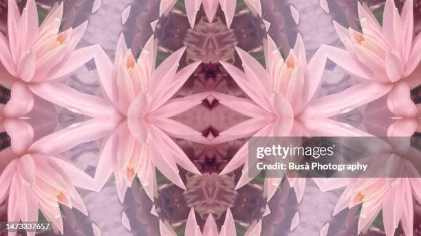 kaleidoscopic image of pink lotus flower - sacred lotus stock pictures, royalty-free photos & images