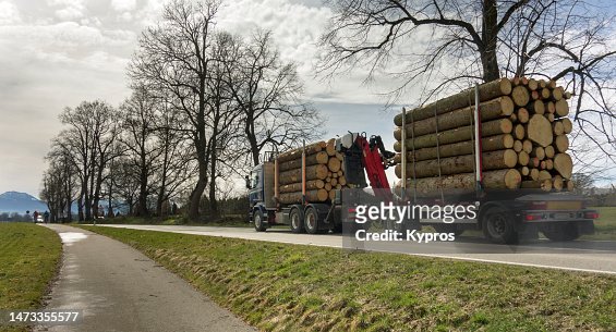 Logging Industry Truck
