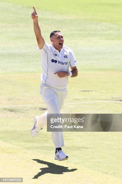 Scott Boland of Victoria celebrates the wicket of CBduring Day 1 of the Sheffield Shield match between Western Australia and Victoria at the WACA, on...