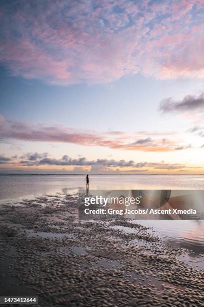 woman walks on tidal flats at sunrise - auftauchen wasser stock-fotos und bilder