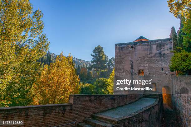 cores de outono em granada, espanha. - granada spain landmark - fotografias e filmes do acervo