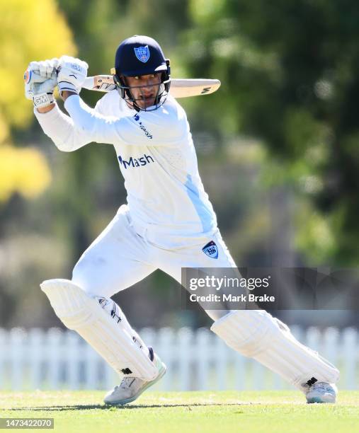 Ryan Hackney of the Blues bats during the Sheffield Shield match between South Australia and New South Wales at Karen Rolton Oval, on March 14 in...