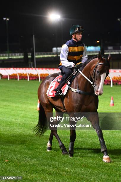 Daniel Moor riding I'm Thunderstruck during the All Star Mile trackwork session at Moonee Valley Racecourse on March 14, 2023 in Melbourne, Australia.