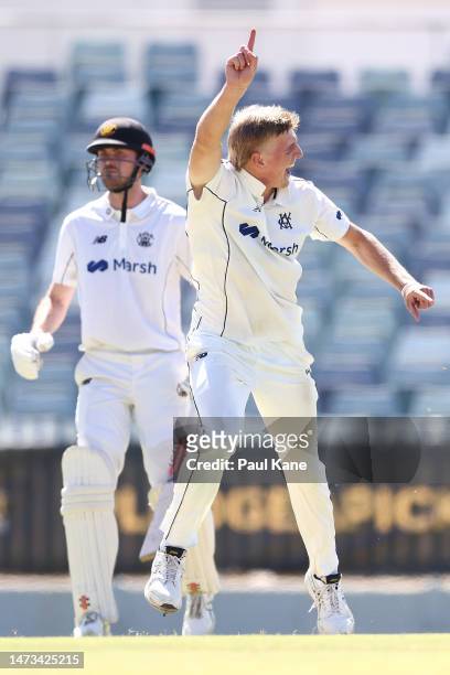 Will Sutherland of Victoria celebrates the wicket of Hilton Cartwright of Western Australia during Day 1 of the Sheffield Shield match between...
