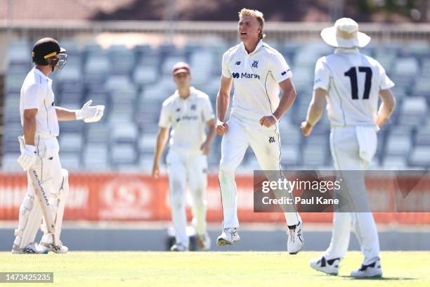 Will Sutherland of Victoria celebrates the wicket of Hilton Cartwright of Western Australia during Day 1 of the Sheffield Shield match between...